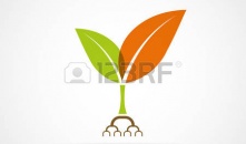 Terrazzi e giardini, ecco tutti gli sconti del bonus verde